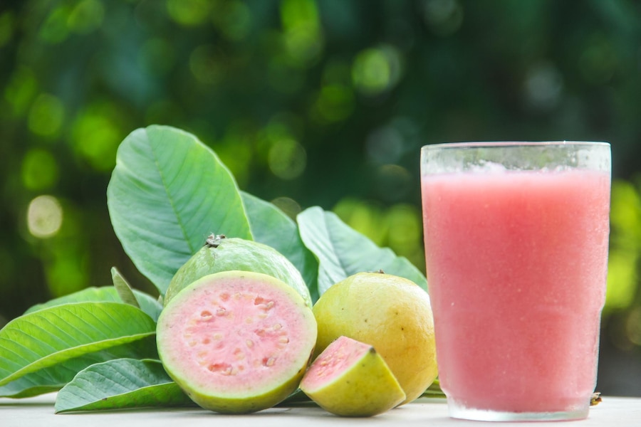 Guava Recipes